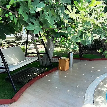 Holiday home Sedef- 3 2 Salon